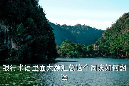 大額匯兌是什么意思，銀行術(shù)語(yǔ)里面大額匯總這個(gè)詞該如何翻譯