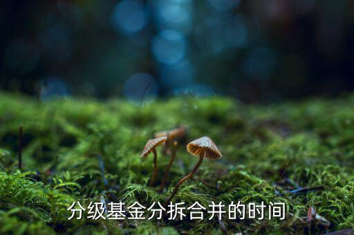 基金什么時候拆分，基金一般在什么時候拆分或分紅