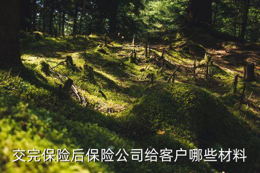 交完車險(xiǎn)都給什么東西，交完保險(xiǎn)后保險(xiǎn)公司給客戶哪些材料