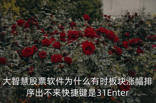 板塊排不按什么鍵，大智慧股票軟件為什么有時板塊漲幅排序出不來快捷鍵是31Enter