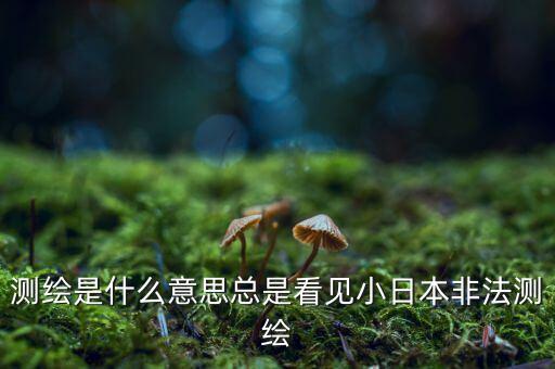 什么是非法測繪，測繪是什么意思總是看見小日本非法測繪
