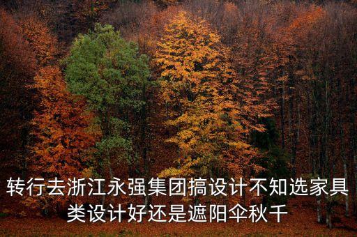 轉(zhuǎn)行去浙江永強集團搞設(shè)計不知選家具類設(shè)計好還是遮陽傘秋千