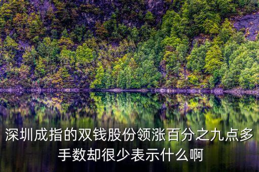 雙錢股份是什么公司，深圳成指的雙錢股份領(lǐng)漲百分之九點多 手數(shù)卻很少表示什么啊