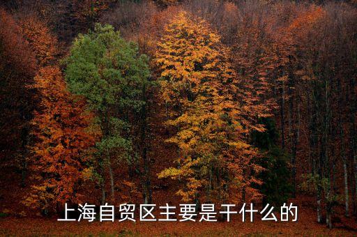 自貿(mào)區(qū)是干什么的，自貿(mào)區(qū)是做什么的