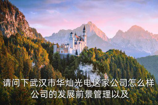 300323華燦光電是干什么的，蘇州華燦光電工作是流水線嗎