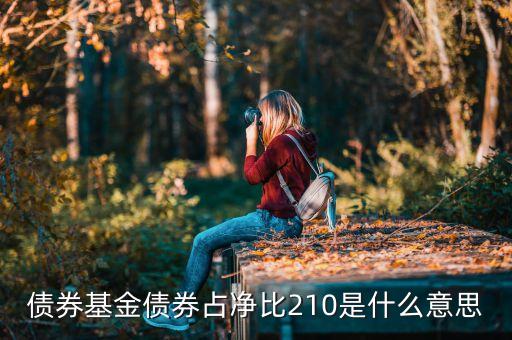 基金中的占凈比什么意思，債券基金債券占凈比210是什么意思