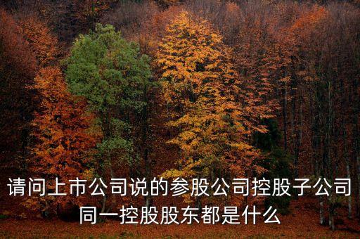 請(qǐng)問上市公司說(shuō)的參股公司控股子公司同一控股股東都是什么