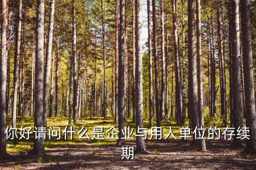 什么叫存續(xù)合同，法律上所謂的續(xù)存是什么意思
