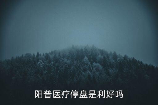 陽普醫(yī)療什么時候復牌，000560各位大神知道啥時候復牌