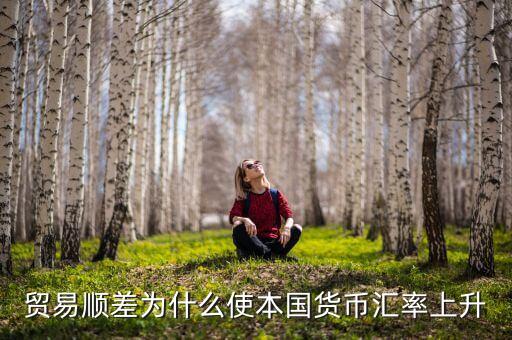 為什么貿(mào)易順差會導(dǎo)致匯率上漲，貿(mào)易順差為什么使本國貨幣匯率上升