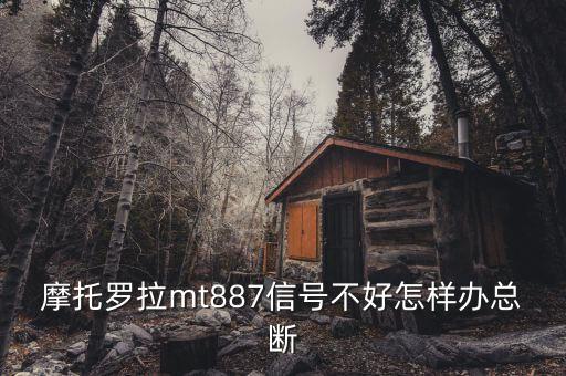 香港為什么要直選，iPhone4 真的會被三星Galaxy S2i9100秒殺嗎如果給你選你會選