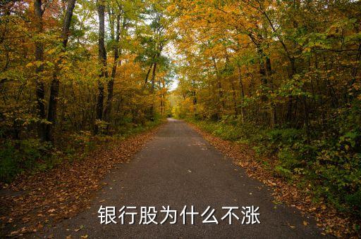 牛市為什么銀行股不漲，我來告訴你銀行股為什么不漲