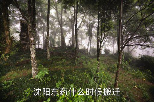 有沈陽東北制藥搬遷是什么時候嗎，沈陽東藥什么時候搬遷