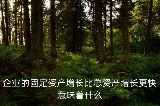 固定資產(chǎn)增長說明什么，流動資產(chǎn)固定資產(chǎn)長期投資都增加從公司資產(chǎn)規(guī)模及變動趨勢