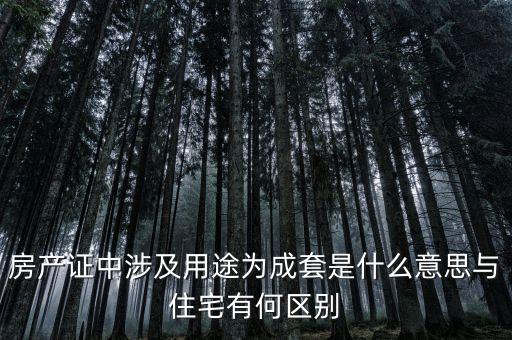 什么是成套項(xiàng)目，什么叫中型成套工程項(xiàng)目