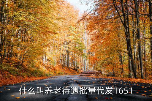 什么叫代發(fā)養(yǎng)老金，養(yǎng)老金代發(fā)機(jī)構(gòu)是指什么
