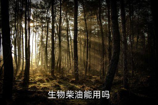 巴西總統(tǒng)坐什么車，卡卡的個人簡介
