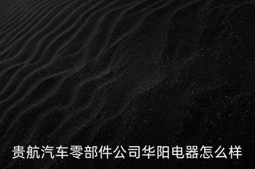 貴航集團(tuán)華陽(yáng)電工廠是什么企業(yè)，貴航汽車零部件公司華陽(yáng)電器怎么樣