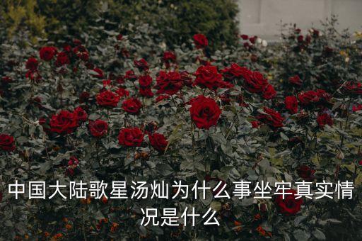 湯燦為什么要當情婦，誰知道湯燦怎么了