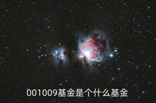 001009是什么基金，001009基金凈值查詢今天
