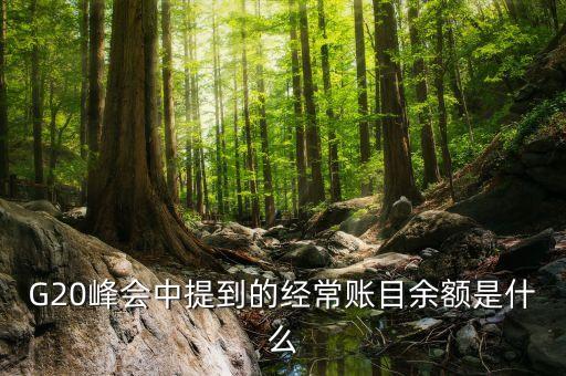什么是經(jīng)常項(xiàng)目余額，經(jīng)常項(xiàng)目差額的什么是經(jīng)常項(xiàng)目差額