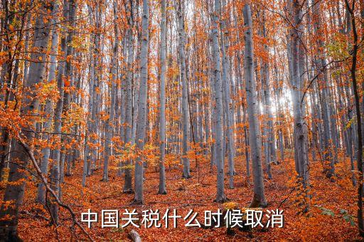 中國什么時候取消關(guān)稅，中國應(yīng)該在哪年取消關(guān)稅