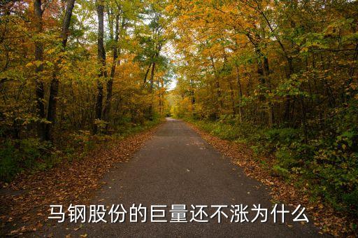 馬鋼集團為什么還不倒，馬鋼集團為什么沒排在世界500強中