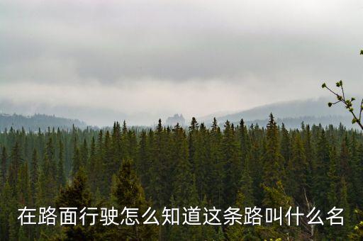 什么叫路條，什么叫做條條道路通羅馬