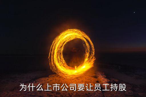 公司強(qiáng)迫員工入股的動機(jī)是什么，4個人的公司要求員工入股是什么目的