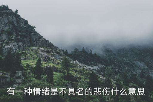 不愿具名是什么意思，有一種情緒是不具名的悲傷什么意思