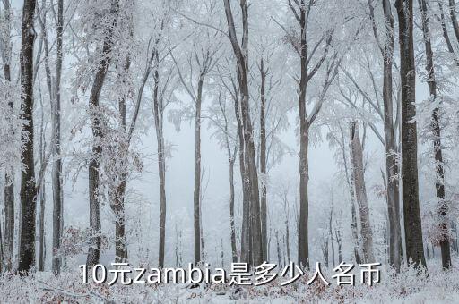 zambia硬幣2克瓦查什么樣，ZAMBIA是什么幣