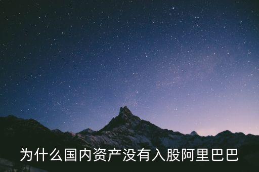 什么國家沒有阿里，為什么國內(nèi)資產(chǎn)沒有入股阿里巴巴