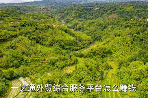 一達(dá)通靠什么盈利，阿里巴巴 一達(dá)通 利潤怎么提出