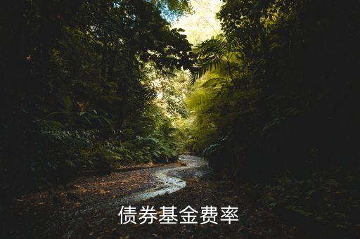 債券基金費(fèi)率什么意思，債券基金費(fèi)率