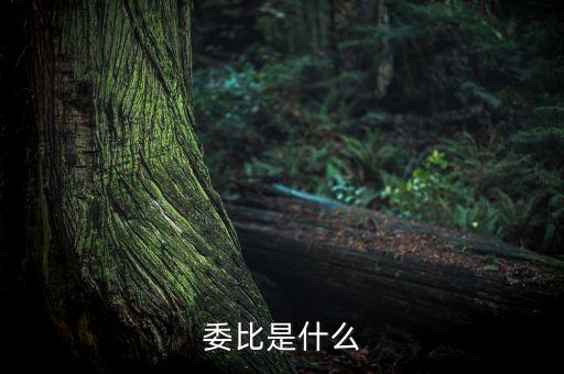 什么是委比指標(biāo)，股票里面的委比是什么意思