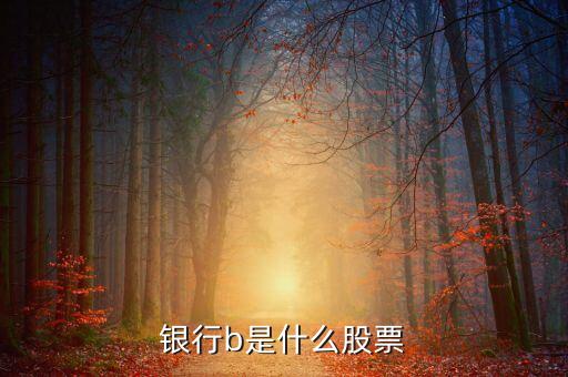 新能車b是什么股，新能車b是b股嗎會(huì)比a股風(fēng)險(xiǎn)大嗎