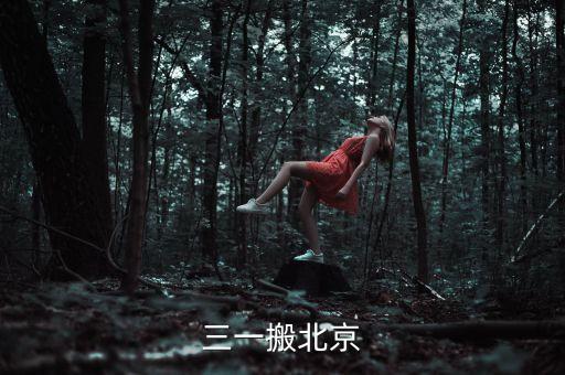 三一為什么搬家，三一搬北京