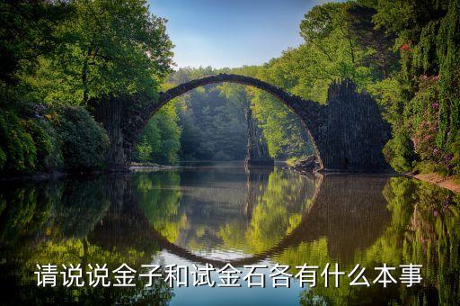請說說金子和試金石各有什么本事，請說說金子和試金石各有什么本事