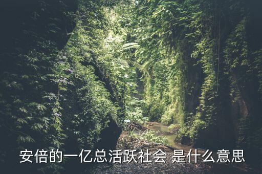 一億總活躍社會(huì)是什么， 安倍的一億總活躍社會(huì) 是什么意思