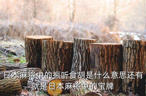 匯盈貸是什么，日本麻將中的振聽食胡是什么意思還有就是日本麻將中的寶牌