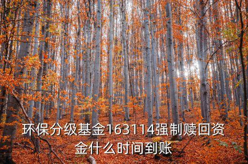 163114什么時(shí)候開盤，163114是個(gè)什么玩意啊賣也賣不出