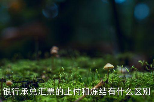 凍結(jié)止付什么意思，銀行承兌匯票的止付和凍結(jié)有什么區(qū)別
