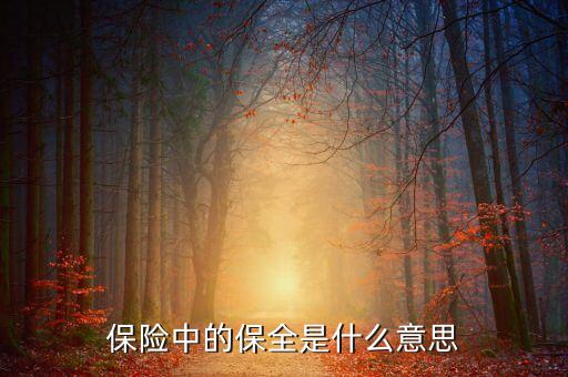 中國數(shù)據(jù)保全的意義是什么，保險(xiǎn)中的保全是什么意思
