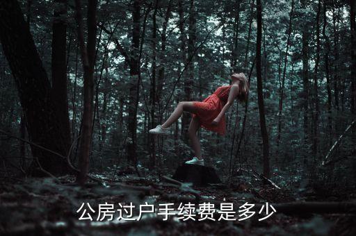 公房使用權(quán)轉(zhuǎn)讓需要交什么錢，公租房使用權(quán)交易如何收費(fèi)