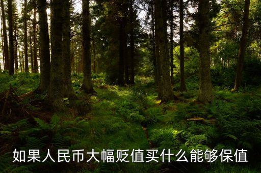 錢貶值買什么，人民幣貶值買什么好