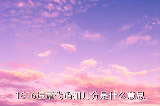1616元是什么意思，1616違章代碼扣幾分是什么意思
