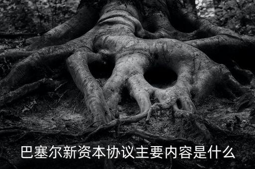 新資本協(xié)議是什么，新巴塞爾資本協(xié)議的介紹