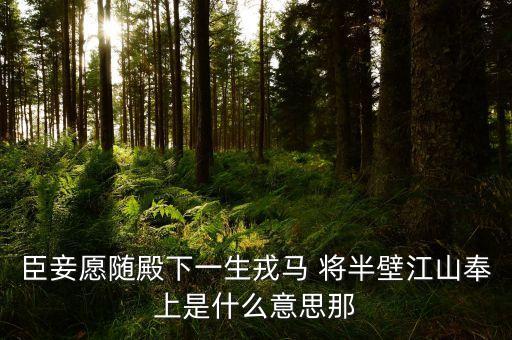 打下半壁江山什么意思，半壁江山的意思是