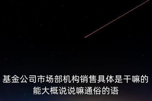 基金公司市場(chǎng)部機(jī)構(gòu)銷售具體是干嘛的能大概說說嘛通俗的語(yǔ)
