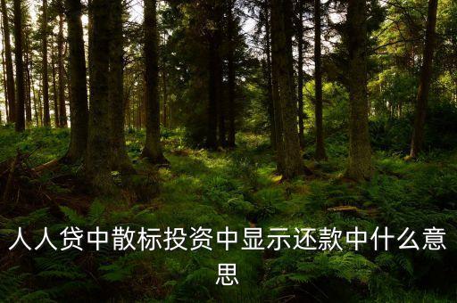 散標(biāo)是什么意思，散標(biāo)是什么
